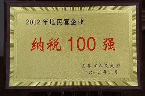 2012年度民营企业纳税100强